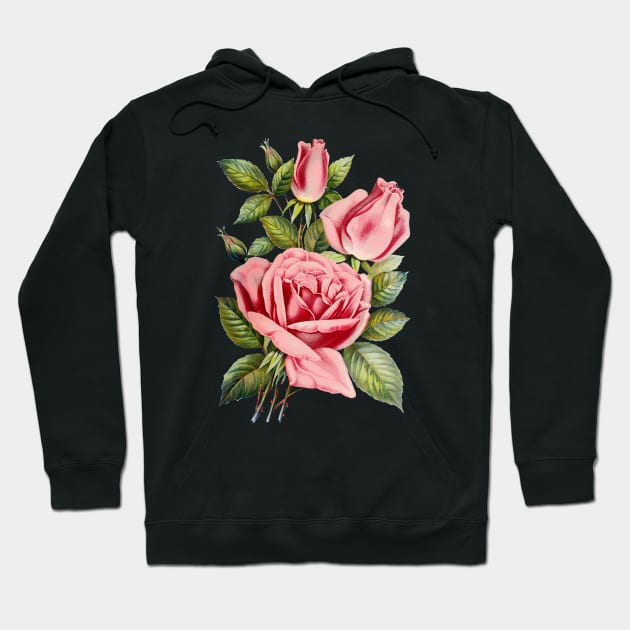 Pink Rose Flower Illustration Hoodie by Biophilia